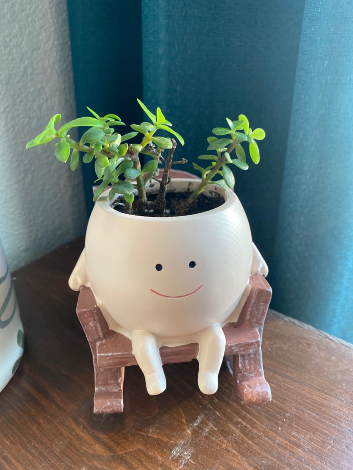 Averon PlantPal™ Smiling Swing Planter